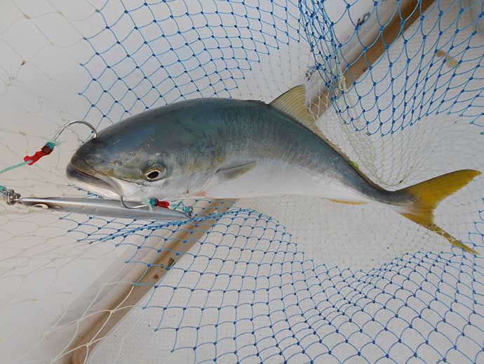 『データ釣行』のススメ　過去の釣りを分析すれば釣果確率がアップ？
