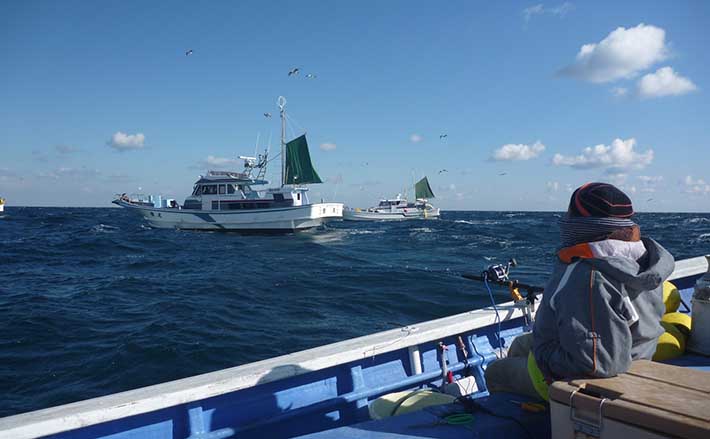 関西 21 年末年始は船釣りに行こう オススメターゲット5選 Tsurinews