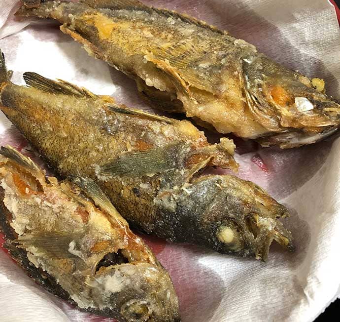 釣り人的『カサゴ』のすべらない料理5選　煮・焼・生で死角なし？
