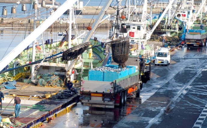 2020年の主要漁港『水揚げランキング』発表　銚子港が毎年トップのワケ