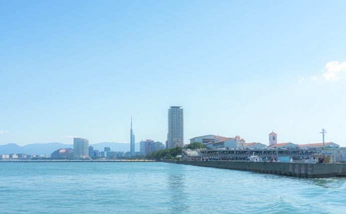 2020年の主要漁港『水揚げランキング』発表　銚子港が毎年トップのワケ