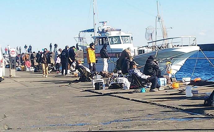 大人気釣り場『乙浜漁港』で車両が進入禁止に　気になる理由と期間を取材