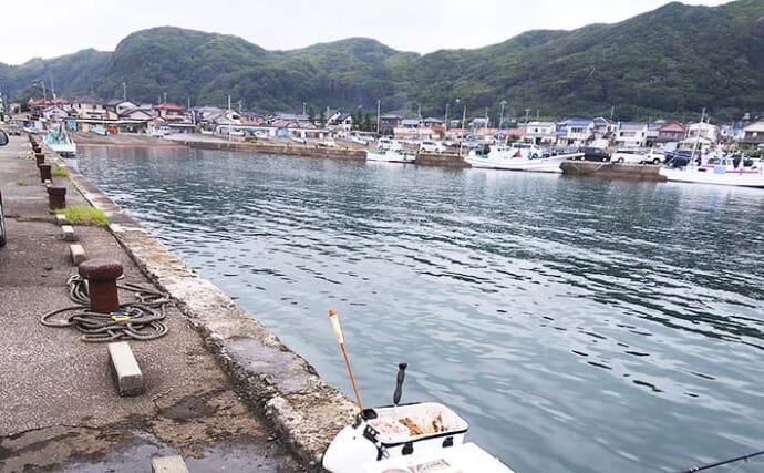 大人気釣り場『乙浜漁港』で車両が進入禁止に　気になる理由と期間を取材