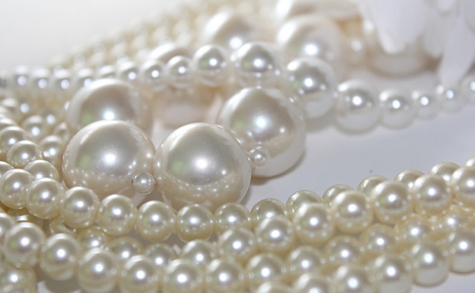 全国で「アコヤガイ」が大量死　世界に誇る「真珠」の国内生産に影響も