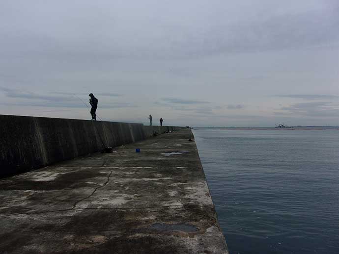 投げ釣りで『マコガレイ』手中　時合いはたったの30分【岸和田一文字】