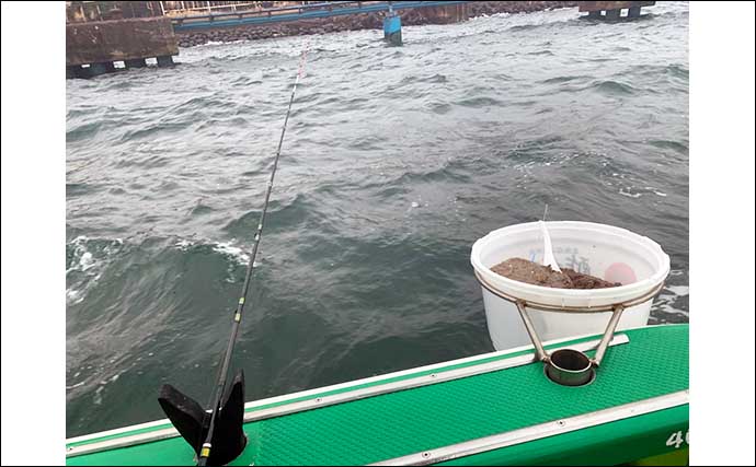 今さら聞けない東京湾LTアジのキホン：魚「活性」別コマセの振り方