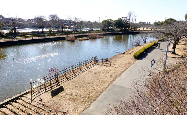 今週のヘラブナ推薦釣り場【群馬県・鶴生田川】 | TSURINEWS