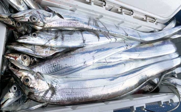 【茨城2021】鹿島沖タチウオ釣り入門　冬の「幽霊魚」は期間限定？