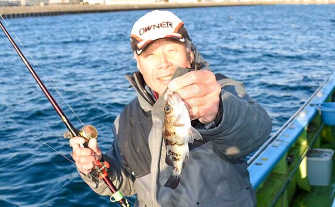 東京湾＆相模湾「春メバル」が最盛期へ　モエビ＆イワシのエサ釣り基本