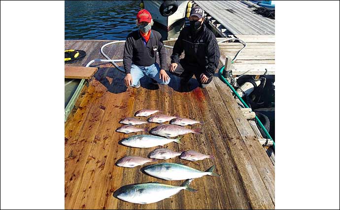 【三重】海上釣り堀最新釣果　マダイ・青物・根魚と魚種多彩で釣果安定