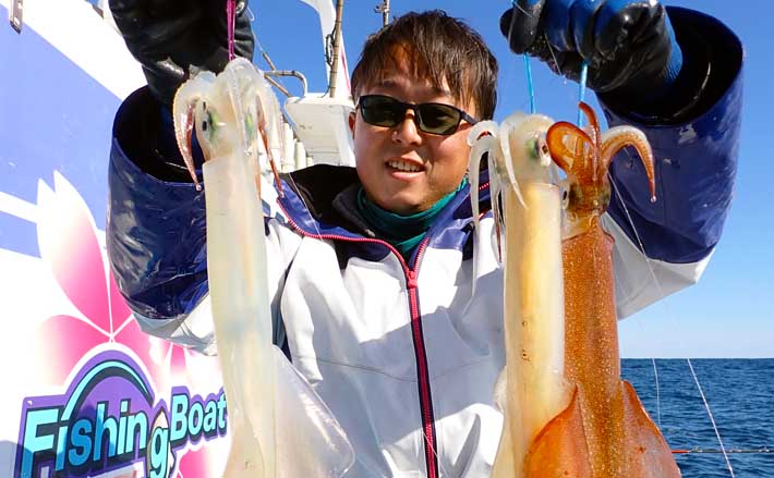 鹿島沖ヤリイカ釣りで50cm「パラソル級」含み多点掛け堪能【桜井丸】 | TSURINEWS