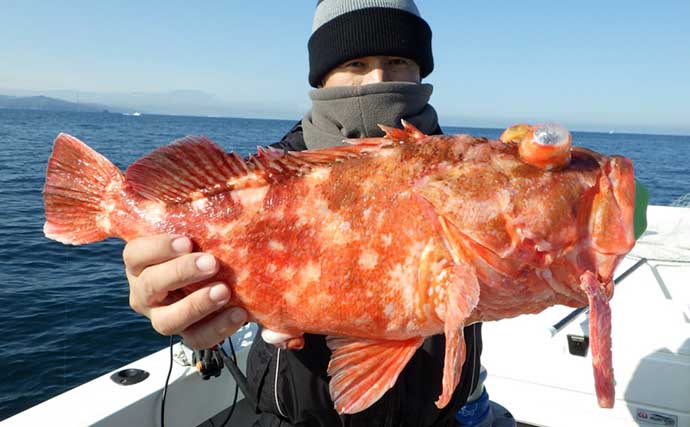 【熊本・大分】沖のエサ釣り最新釣果　超高級魚2.9kg『シロアマダイ』