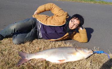 福井県三方湖で大型外来魚「ハクレン」が初確認　その食味とは？