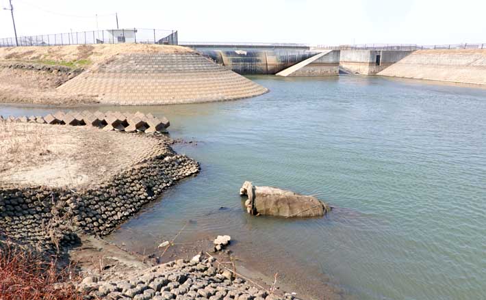 今週のヘラブナ推薦釣り場【千葉県・作田川】 TSURINEWS
