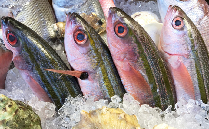 日本で最初に制定された県魚は「グルクン」　実はかまぼこの原材料にも