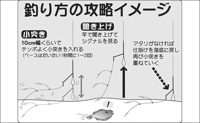 【東京湾2021】船マコガレイ釣り基本　タックル・釣り方・おすすめ船宿