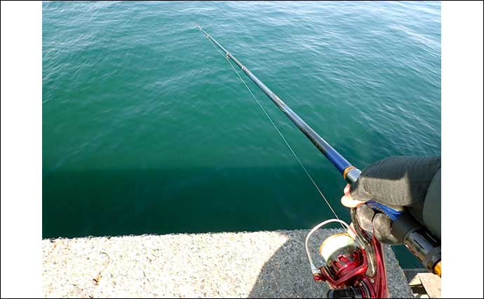 『フカセクロダイ釣り』ステップアップ解説：2つの「沈め釣り」とは？