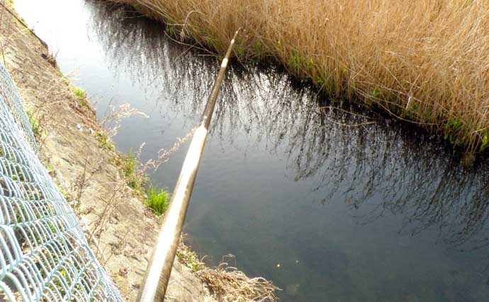 東京近郊の河川で淡水魚と遊ぼう：『テンカラ玉ウキ』釣りのススメ