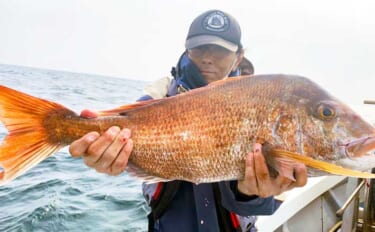 【玄界灘】沖のエサ釣り最新釣果　『10kgオーバー』超大型マダイ登場