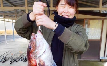 【三重・愛知】海上釣堀最新釣果　メガ大ダイに天然ヒラメと美味魚続々