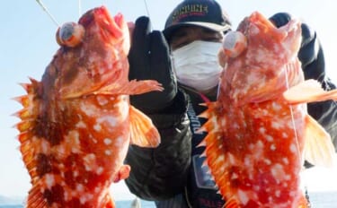 【大分・長崎】沖釣り最新釣果　アラカブ釣りで『大五郎』サイズ良型続々