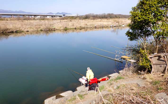 今週のヘラブナ推薦釣り場 神奈川県 鳩川逆ワンド Tsurinews
