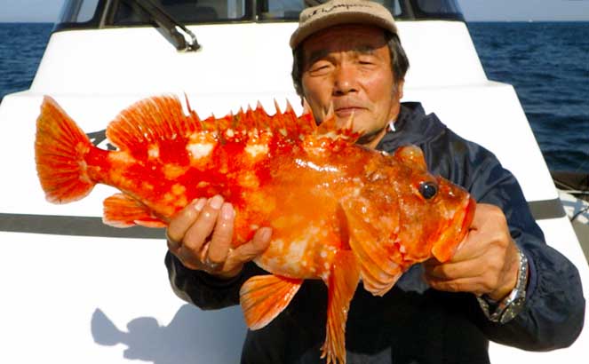 【大分・熊本】沖釣り最新釣果　大型シロアマダイに大五郎アラカブ登場