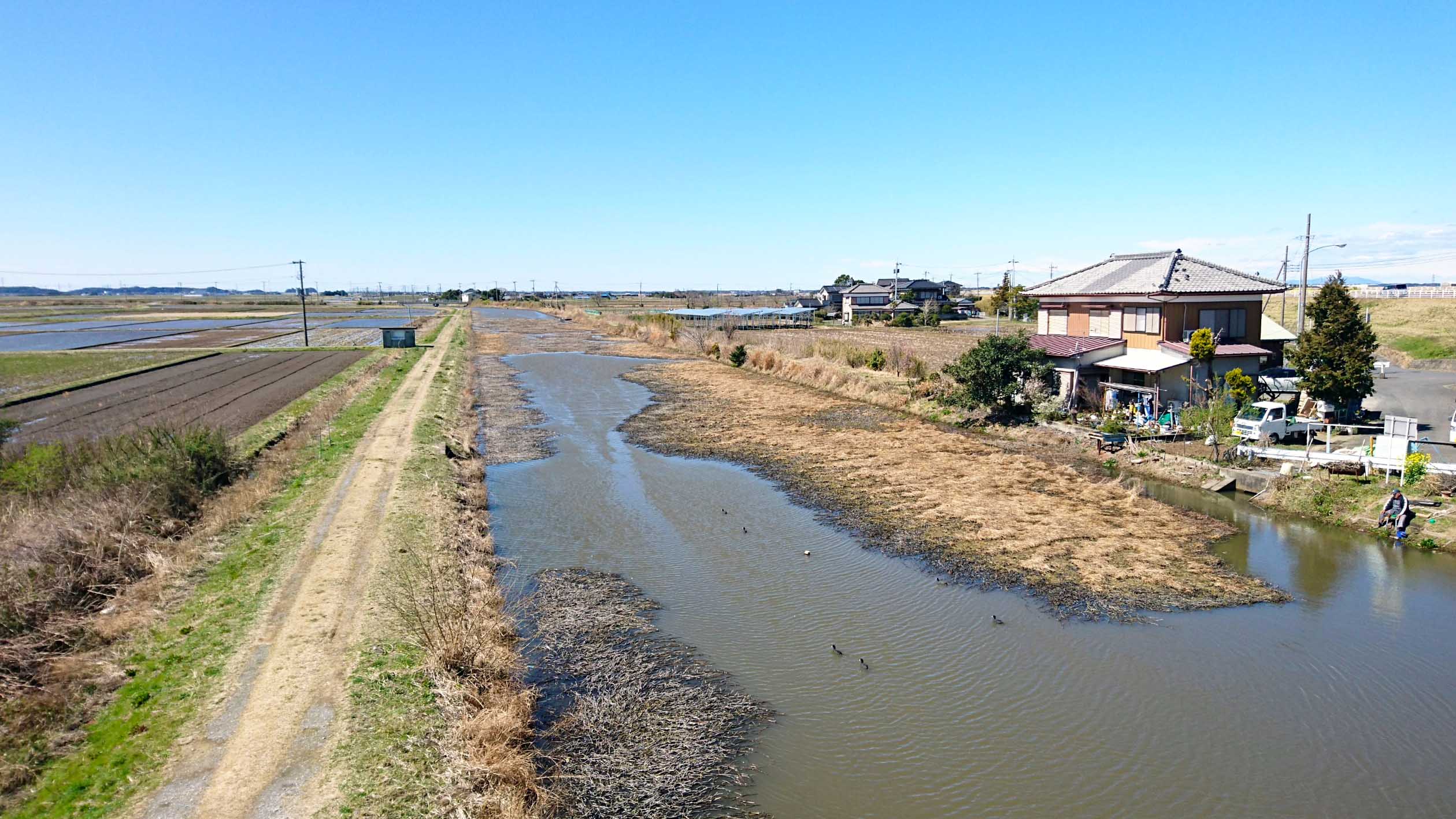 春の乗っ込みマブナ好釣り場 新八間川 型も数も狙える好機 千葉 Tsurinews