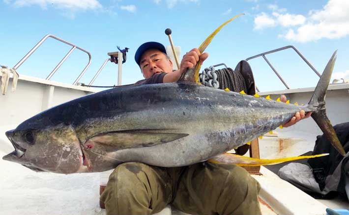 深海ジギング　トンジギ　500グラム　　4本 愛知・三重】沖のルアー最新釣果 トンジギ船で40㎏超キハダマグロ登場