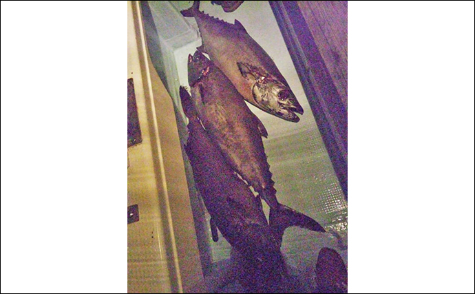 回転寿司で話題の深海魚『アブラボウズ』　アブラソコムツとの混同は厳禁