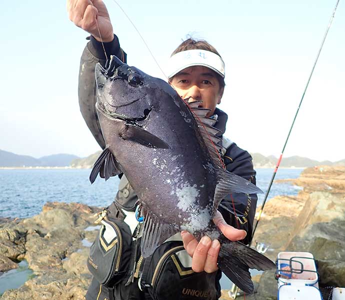 良型イシダイ浅ダナに接近中　石物釣りで2.5kg『銀ワサ』手中【鹿児島】