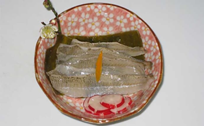 【釣果レシピ】キスの笹漬け風　酢でクセ消えてうま味際立つ一品に