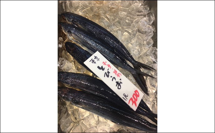 空飛ぶ魚トビウオの一種「角トビ」は春が旬　東日本では知名度低め？