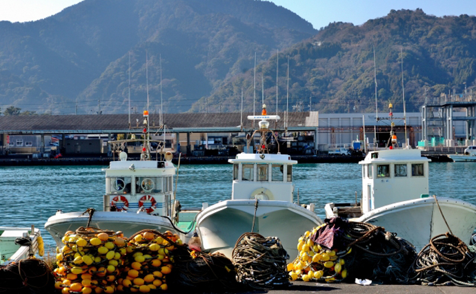 駿河湾のシラス漁が解禁　出口の見えない「不漁」の原因は黒潮大蛇行？