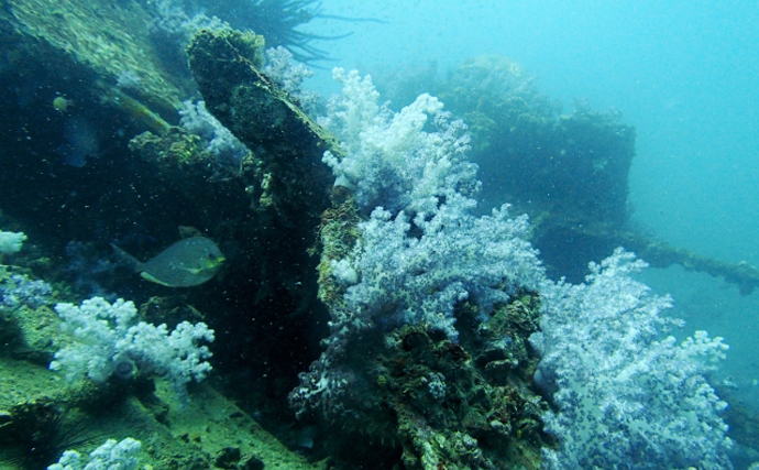 静岡の海に新たな漁礁が設置　海外では電車600両や「空母」を沈めた例も