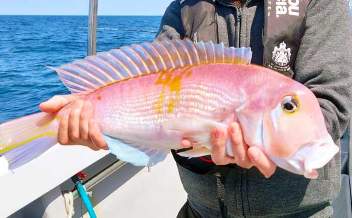 【福岡】沖のエサ釣り最新釣果　五目釣りで50cm超アマダイに高級根魚も