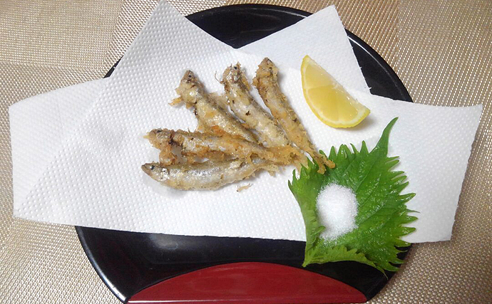 鹿児島で稚アユ狙う『エゴ漁』実施　食味も価格も生魚に負けず劣らず？