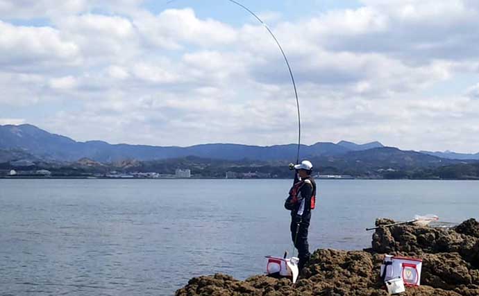 沖磯でのフカセチヌ釣りで48cm頭8匹　乗っ込みに好期待【和歌山・田辺】