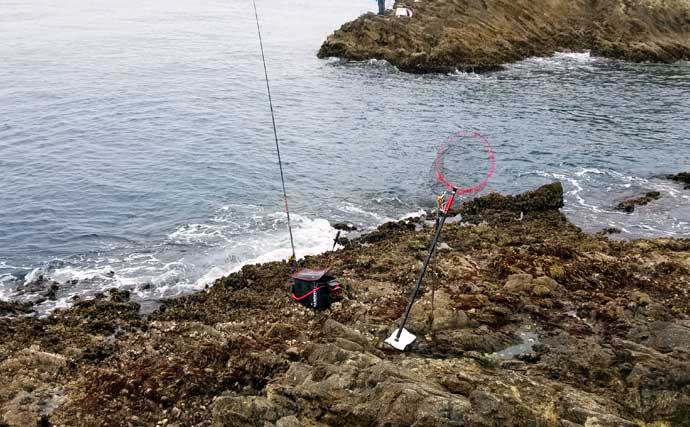 磯フカセ釣りで良型メジナ連発　不規則な潮流れを攻略【静岡・西伊豆】