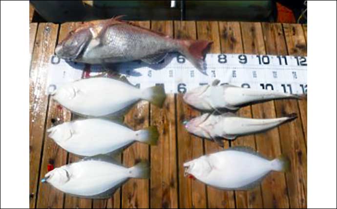 【愛知・三重】沖のエサ釣り最新釣果　ウタセ五目釣りお土産多彩で満足