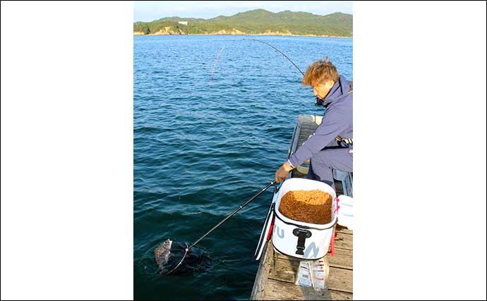「山本太郎」の好釣果へのターニングポイント：チヌの乗っ込み攻略法#２