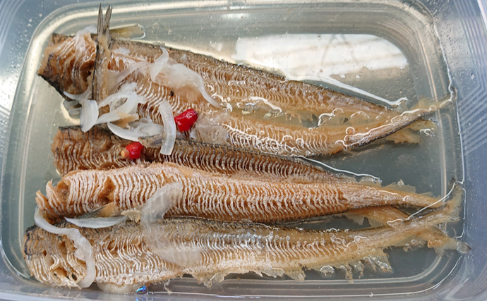 筑後川の初夏の風物詩「エツ漁」が解禁　マイナー魚だけどとても美味