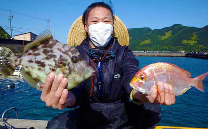 【三重・愛知】沖のエサ釣り最新釣果　良型主体にカサゴ＆イサキ好調