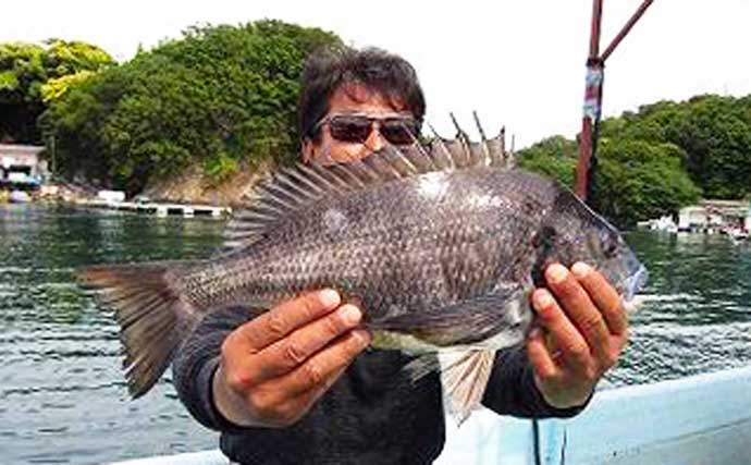 【三重】カカリ釣り最新釣果　ジュニアアングラーが48cm良型クロダイ