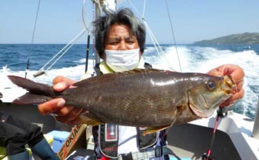 【大分・熊本】沖釣り最新釣果　イサキ・アジ・タチウオいずれも大型有望