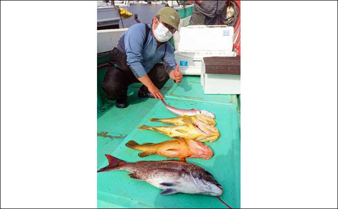 【福岡】沖のルアー最新釣果　ジギングで19.32kg大型ヒラマサ堂々浮上