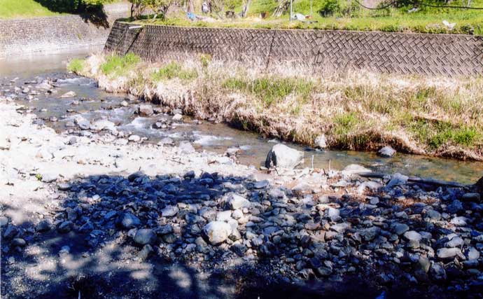 【2021山梨】アユトモ釣りオススメ河川：桂川　下流部では尺級の実績も