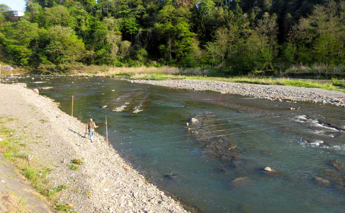 【2021東京】鮎トモ釣りオススメ河川：秋川　浅瀬の泳がせで面を釣ろう