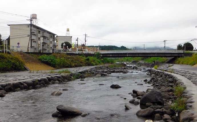 【2021神奈川】鮎トモ釣りオススメ河川：酒匂川　電車釣行OKな場所も
