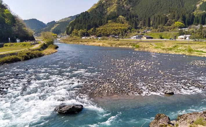 21岐阜 鮎トモ釣りオススメ河川 長良川郡上漁協管内 Tsurinews